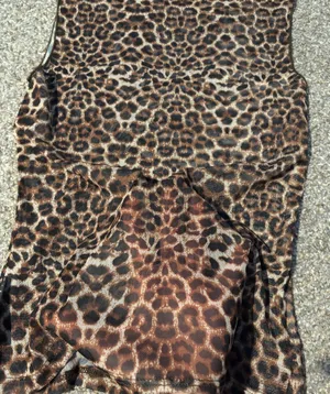 Missguided Semi Sheer Cheeta Top thumbnail 2