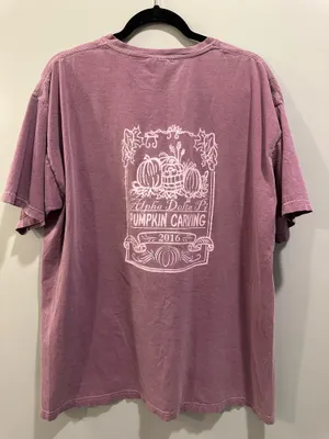 Comfort Colors ADPI 2016 Pumpkin Carving Short Sleeve Pocket Tee thumbnail 2