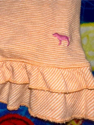 Vintage! Y2K VS PINK Mini Dress! thumbnail 2
