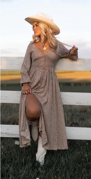 In Bloom Long Sleeve Prairie Dress thumbnail 2