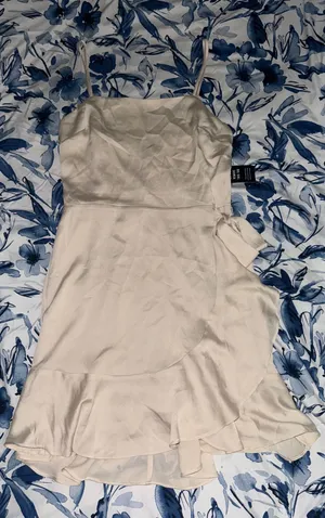 Express Champagne Dress thumbnail 1