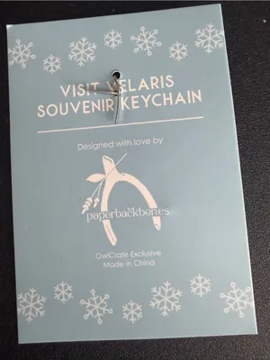 OwlCrate ACOTAR Visit Velaris Keychain Paperbackbones‎ Night Court Sarah J Maas⁠ thumbnail 4