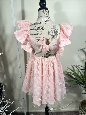 S389. Mabel x Petal & Pup Raelyn Pink Butterfly Appliqué Mini Dress Size Small thumbnail 3