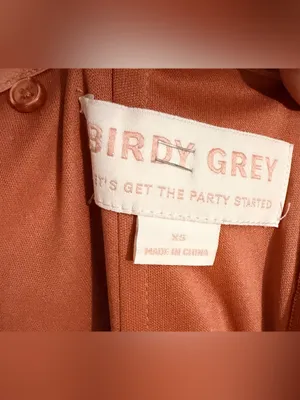 Birdy Grey Spaghetti Strap Maxi Dress in Rust Orange thumbnail 7