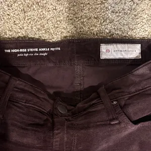 Anthropologie/Adriano Goldschmidt Deep crushed velvet Burgundy High-Rise Pants thumbnail 2