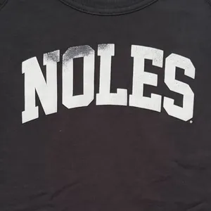 FSU Florida State University Seminoles Alternative Apparel Sweatshirt, Large thumbnail 2