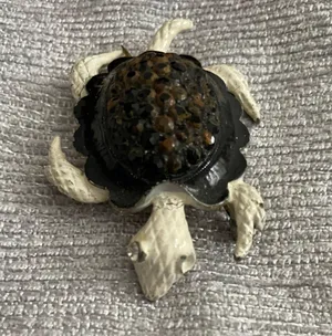 2 Vintage TURTLE Brooches/Pins-see description. thumbnail 2