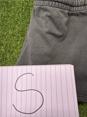 Talentless Women's Classic Heavyweight Short Grey Athleisure Cotton Drawstring L thumbnail 6
