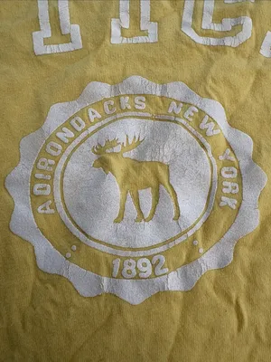 Abercrombie & Fitch size large Yellow baby Logo Tee flaw y2k preppy thumbnail 2