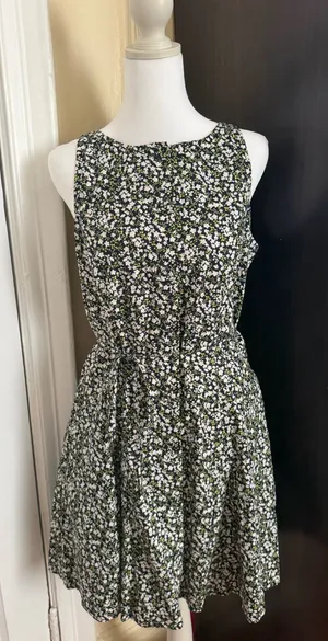Free Assembly Dress  thumbnail 1