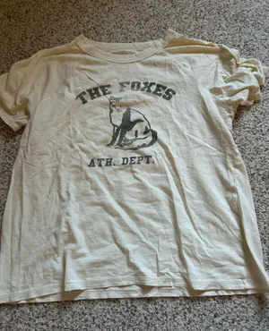 Aerie The Foxes Graphic Tee  thumbnail 1