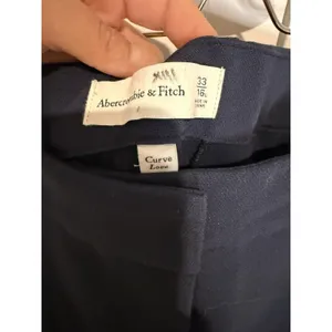 Abercrombie & Fitch Wide Leg High Rise Pleated Pants Size 16L/ 33 Blue 32.5 L thumbnail 3
