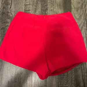 Lovers + Friends Red Skirt thumbnail 2