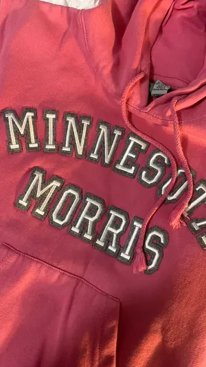 J. America Pink hoodie thumbnail 2