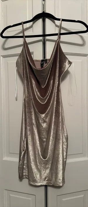 Windsor Mini Dress thumbnail 1