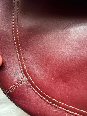 Cartier Handbag  thumbnail 5