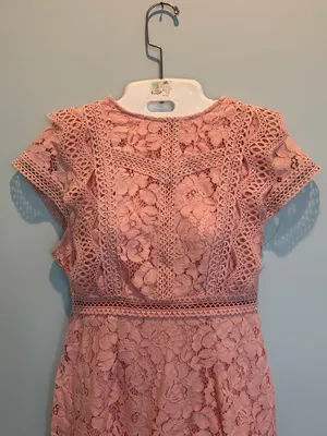 Baltic Born Nessa Lace Blush Midi Dress size Small New With Tags thumbnail 5