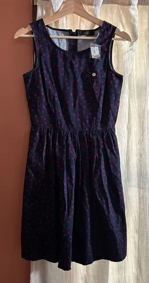 The Limited Y2K Polka Dot Sleeveless‎ Skater Mini Dress Blue Red NWT Size 0 thumbnail 1