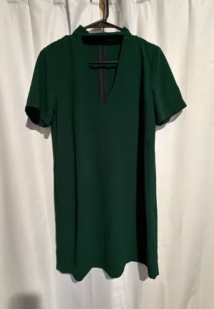 Zara Woman Green Choker V Neck Shift Mini Dress thumbnail 1