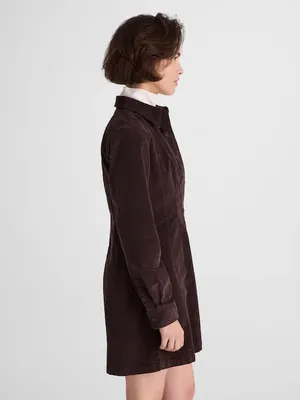 Madewell Seamed Button-Up Mini Dress in Corduroy brown NY264 Size 2 NWT thumbnail 2