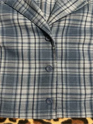 2000s vintage style brandy melville blue vivian plaid cropped button up thumbnail 5
