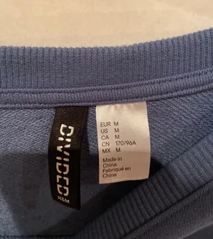 H&M Los Angeles Cropped Sweatshirt thumbnail 4