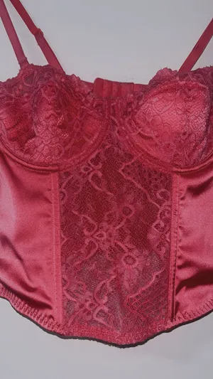 Sincerely Jules Corset Top thumbnail 2