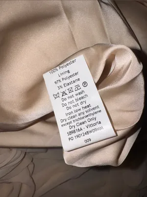 NWOT HOUSE OF CB 'Vittoria' Champagne Chiffon Floor Length Gown sz L thumbnail 8