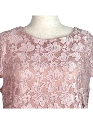 Scarlett Nite Lace Overlay MOB Cocktail Dress Pink 20W Floral Wedding Tea Shower thumbnail 3