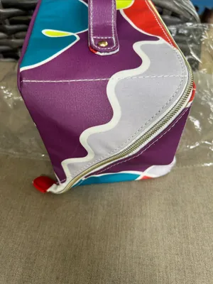 Rodan + Fields New colorful artsy travel makeup zip up cosmetic bag funky htf thumbnail 4
