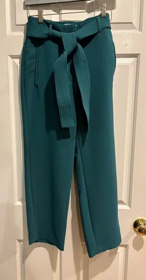 Aritzia Wilfred belt waist cropped crepe pants sz 8 teal thumbnail 1