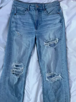 American Eagle Outfitters Denim Mom Jeans thumbnail 1