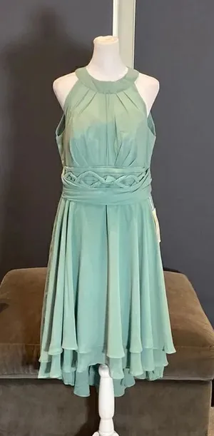 Women’s Halter Neck Chiffon High Low Prom Party Bridesmaid Dress Size 12 NWT thumbnail 1