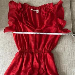 Chelsea & Violet Sleeveless Red Roses Ruffle Jardin Chinoiserie Dress Size S thumbnail 12