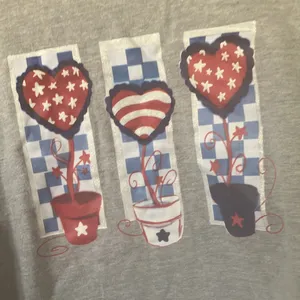 FINAL MARKDOWN Cottage core patriotic tee xl Gray thumbnail 2