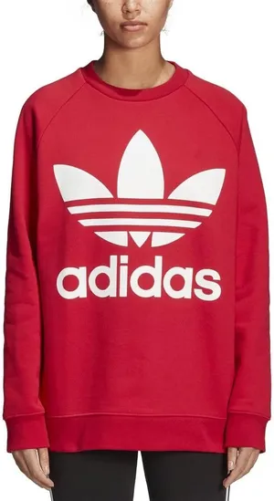 Adidas Women’s Oversized Pull Over Sweatshirt Size XS thumbnail 1