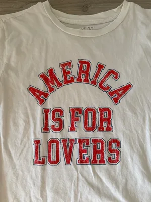 Z-Supply America Is For Lovers Tee thumbnail 2