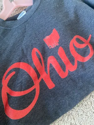 Ohio Sweatshirt Gray thumbnail 3