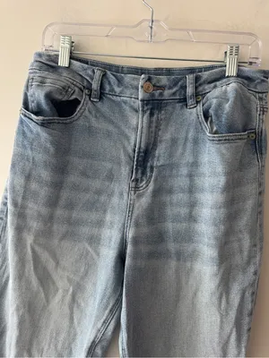 American Eagle Curvy Mom Jean Size 10 thumbnail 2
