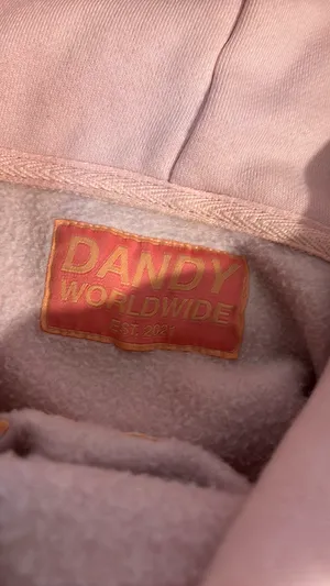 Dandy Worldwide Hoodie thumbnail 3