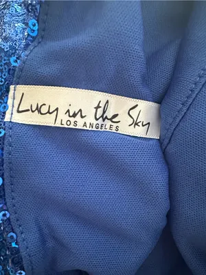 Lucy in the Sky Blue Sequin Backless Mini Dress Small thumbnail 4