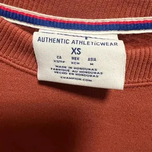 Champion crew neck rust brown stars gold white lettering academia gorpcore norm thumbnail 3