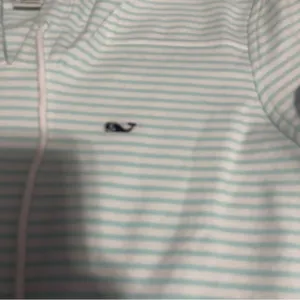 Vineyard Vines Mint Blue and White Striped Hoodie; Small thumbnail 2