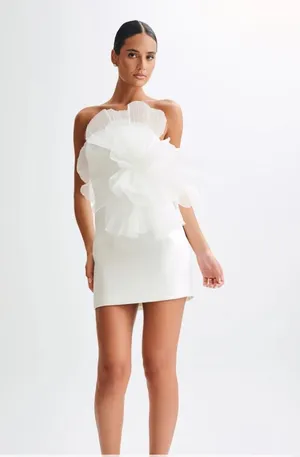 Meshki Mini Dress thumbnail 1