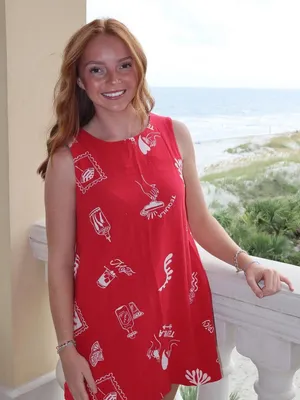 Paper heart tequila shift dress linen roundneck pockets doodles anthropologie thumbnail 5