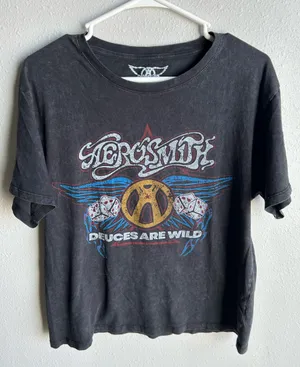 Aerosmith Band Tee thumbnail 1