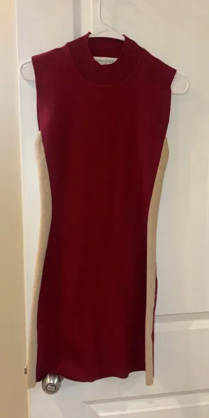 The Pants Store red Bodycon Dress thumbnail 1