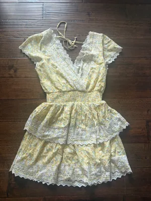 American Eagle Outfitters Yellow Floral Eyelet mini dress thumbnail 1