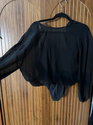 Wilfred Aritzia sheer top with bodysuit thumbnail 2