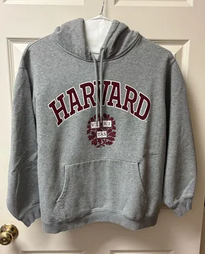 H&M Gray Harvard hoodie thumbnail 1